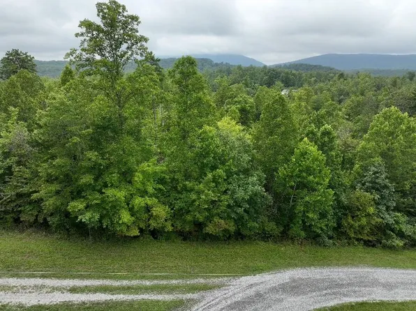 LOT 5 Reservoir View Dr, Pittsville, VA 24139