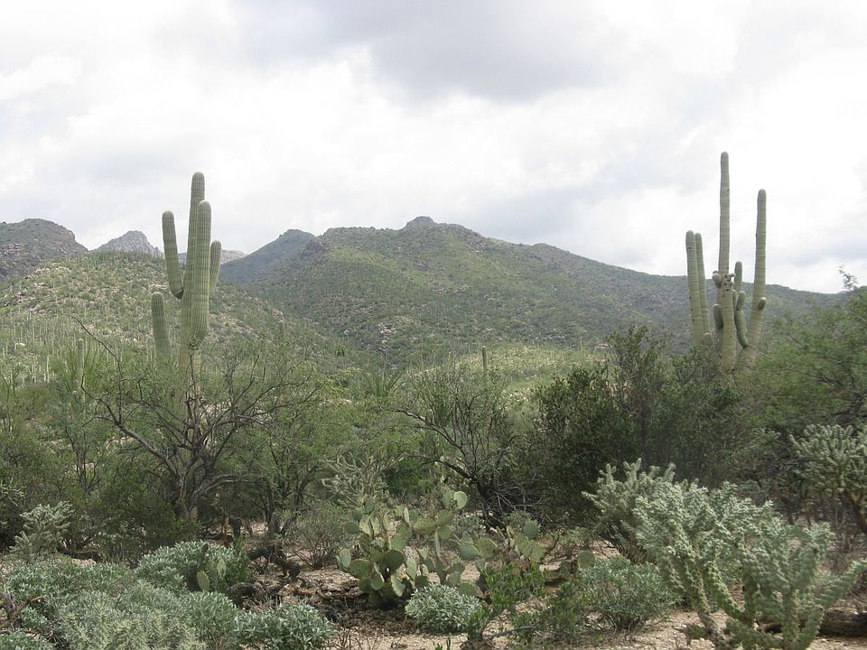 1st image of 5232 N Sonoran Canyon Pl Unit 33