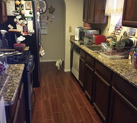4th image of 3184 Lonesome Dove Cir