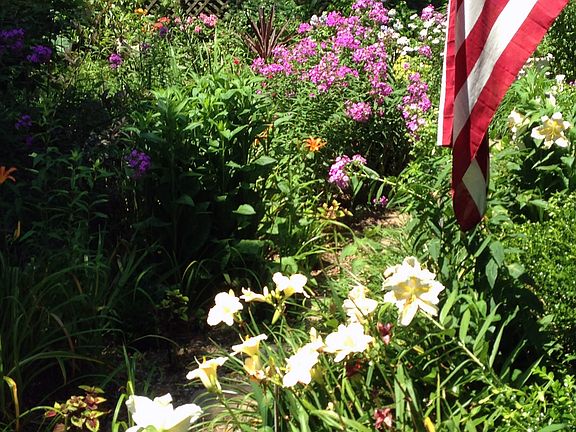 front garden