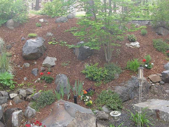Woodsy backyard privacy