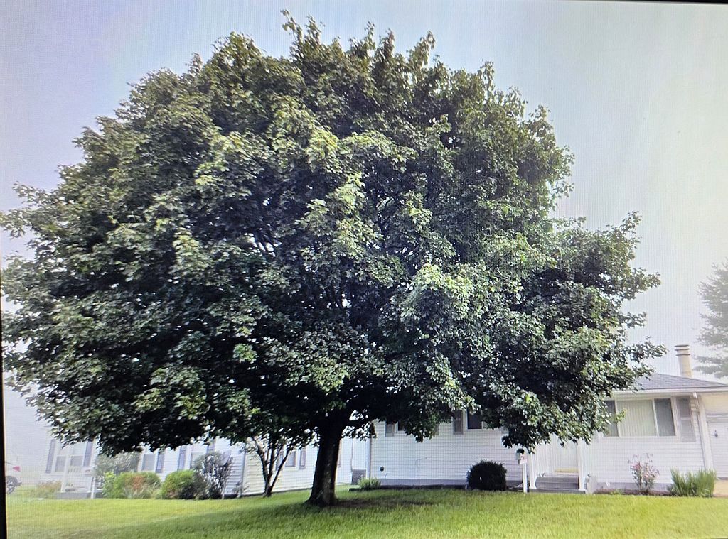 210 W 7th St - Property Image