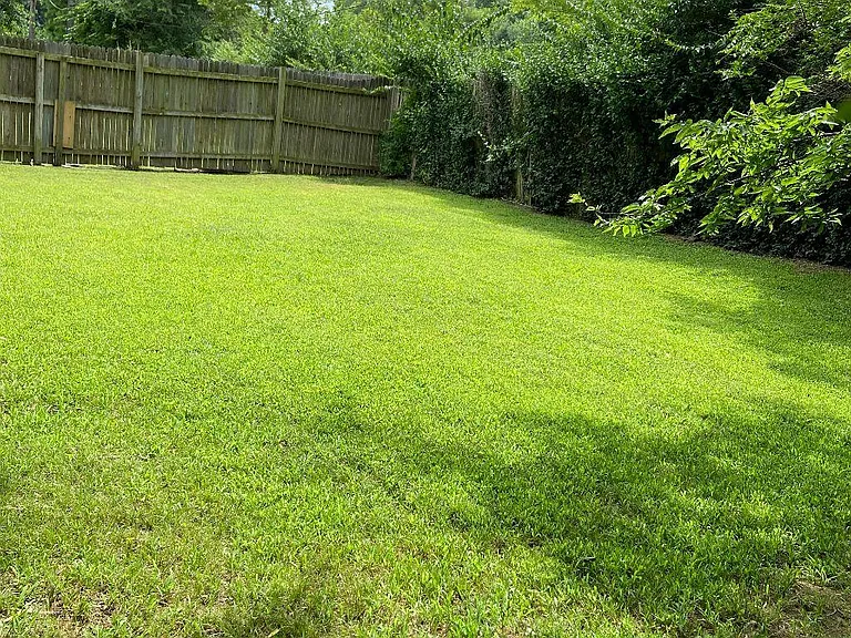 Backyard with privacy fencing to enjoy outdoor living.