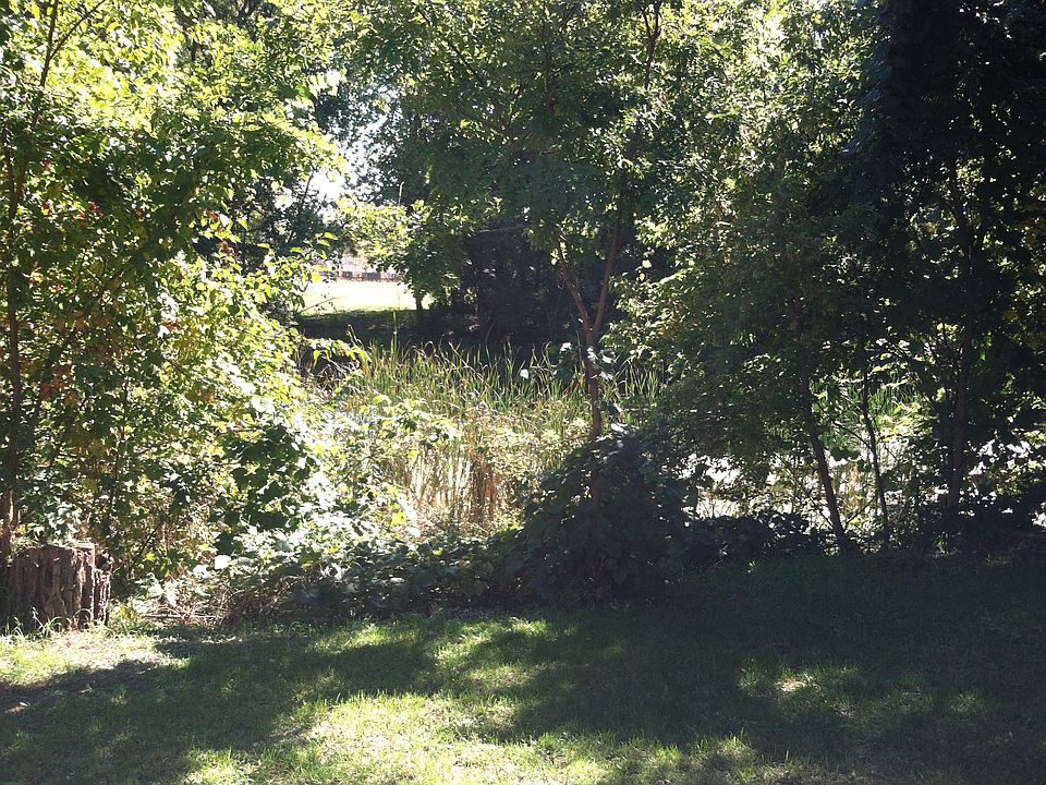 View from the yard of canal