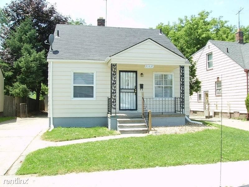 #20 20537 Hickory