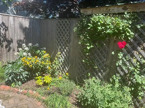 Otis Pl — Photo 13