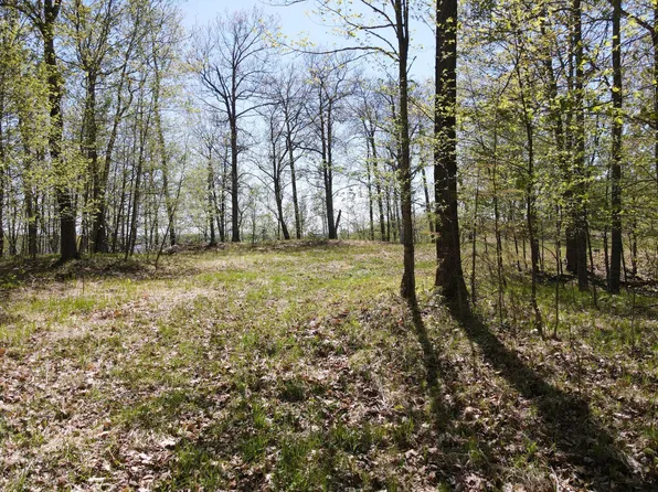 66535 County Road 533, Effie, MN 56639