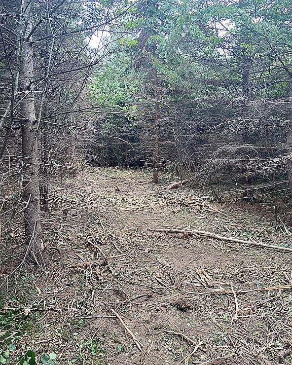 2nd image of 00 Thompsons Lake Rd