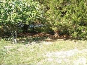 4th image of 16 Georgetown Dr