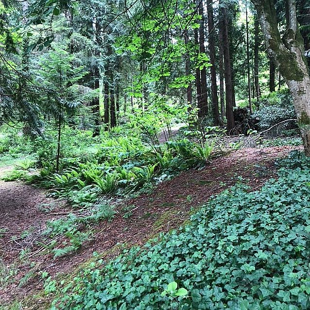 2nd image of 99999 W Ames Lake Dr NE