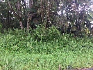 1st image of 19th Ave Lot 1455