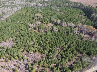 Goins Rd, Greeleyville, SC 29056