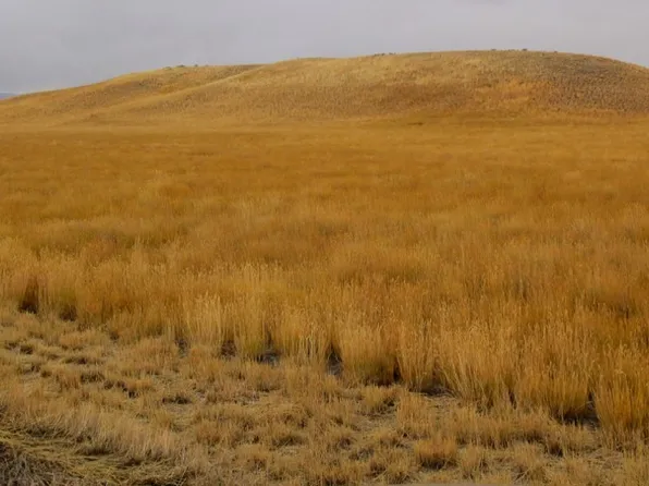 48 Blue Bird Ln, Three Forks, MT 59752