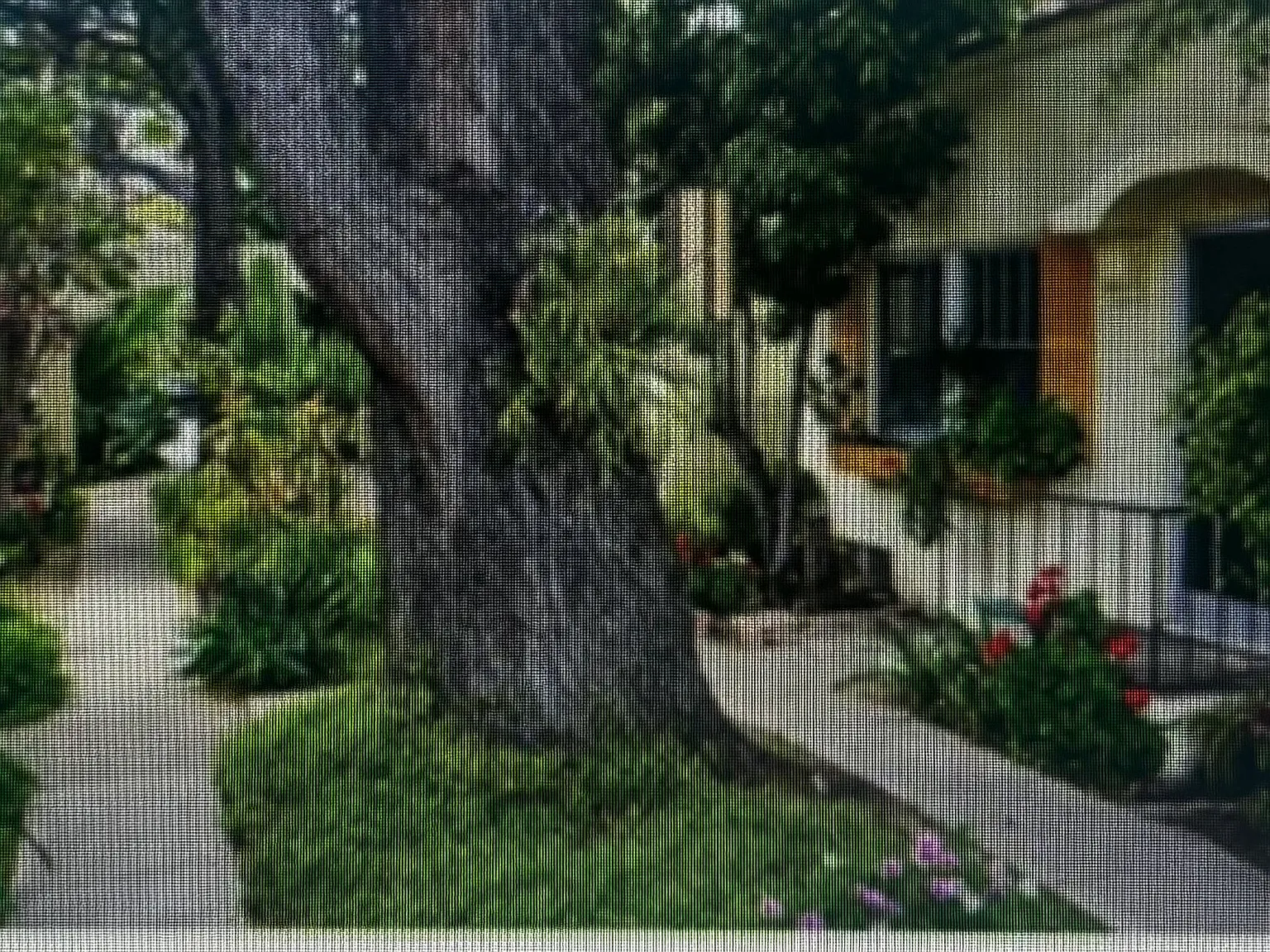 1 bed, 1100 sqft, $2,800 — Photo 1