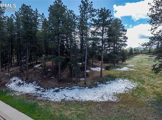 615 Meadowlark Ln, Woodland Park, CO 80863