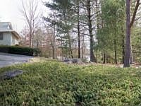 1st image of 18 Chestnut Ln