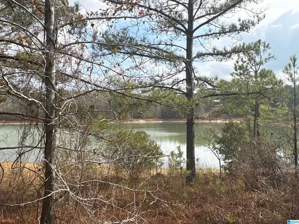 10 County Road 331 #1, Maplesville, AL 36750