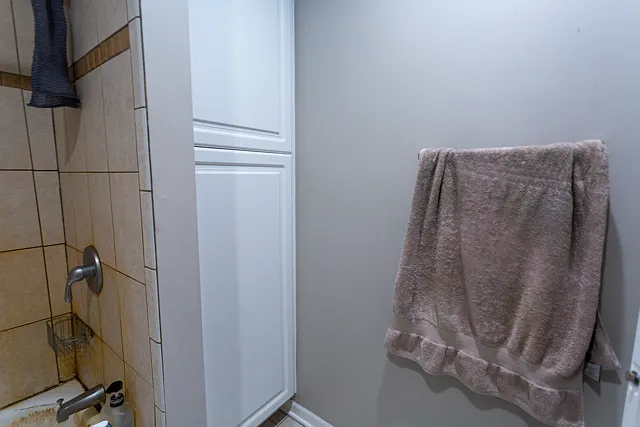 1013 S Laflin St #2 — Photo 14