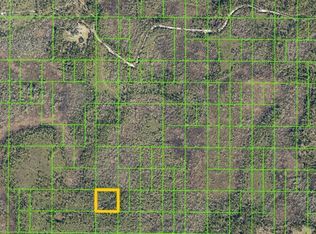 Salyers Rd LOT 25100, Clermont, FL 34714