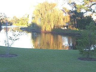 1st image of 106 BARRACUDA LOT 48