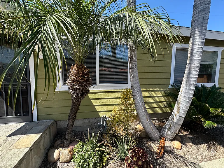 3024 Olive St — Photo 45