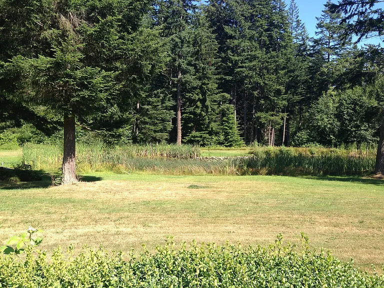 925 Classic Rd — Photo 19