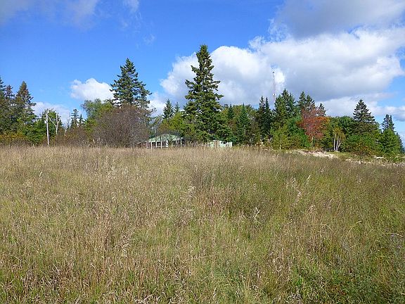 Looking north from clearing