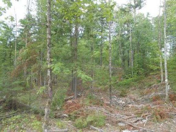 5th image of Wilson Lake Cir W
