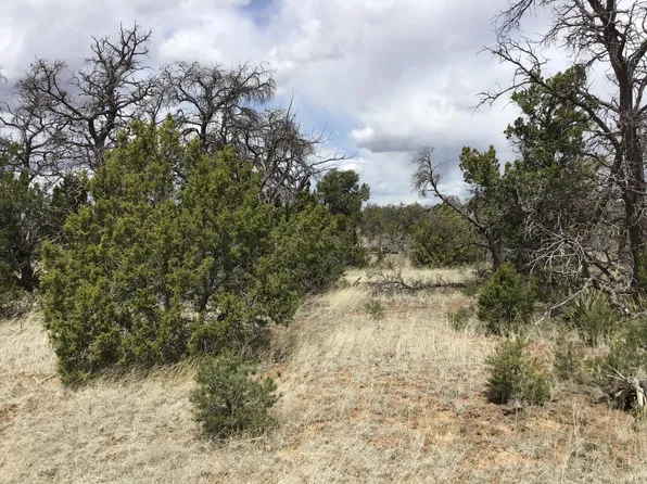 521 Pine Meadows Ranch Rd, Ramah, NM 87321