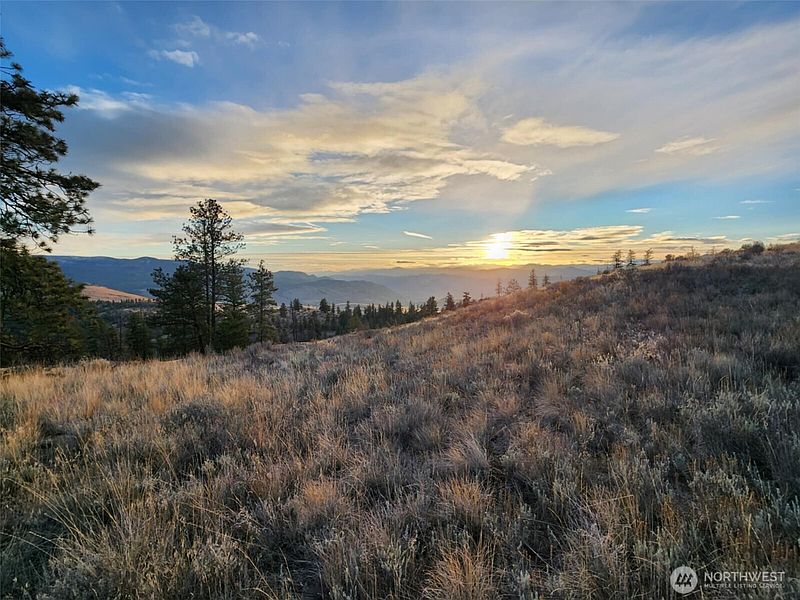 3rd image of 0 Blue Grouse (Div 5, Lot 42)