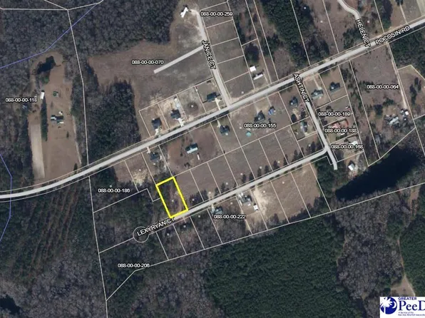 304 Lexyryan Ct, Latta, SC 29565