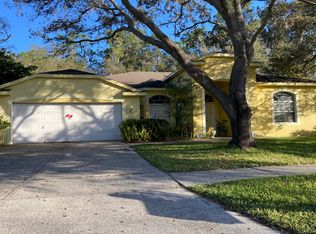 3626 Cold Creek Dr, Valrico, FL 33596