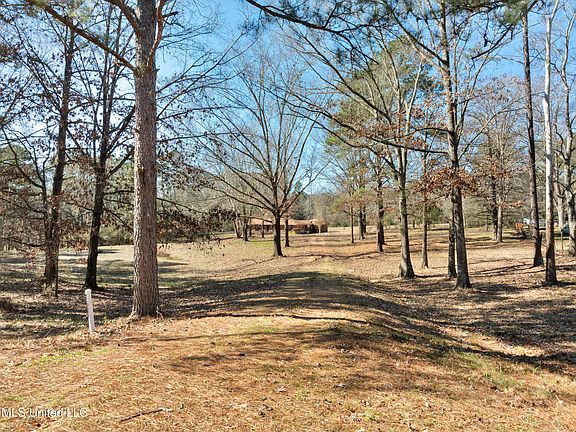4th image of 1637 Lake Lincoln Dr NE