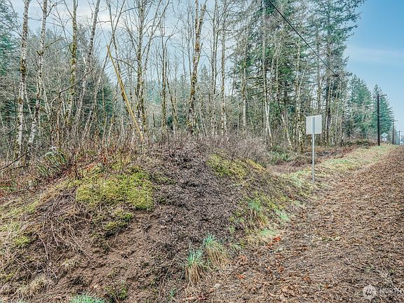4th image of 0 Washougal River Road