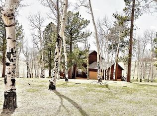 141 Joshua Rd, Divide, CO 80814