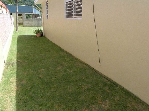 Patio Lateral Izquierdo