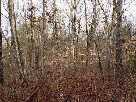3rd image of 980 Boardly Hills Blvd