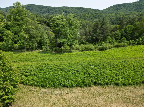 LOT 31 River Rock Rd #35, Vinton, VA 24179