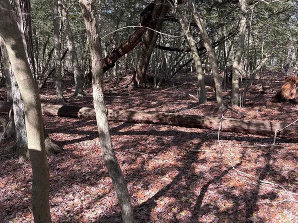 0 North Ave, Pt Norris, NJ 08349