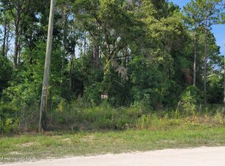 15586 Cliff Swallow Rd, Weeki Wachee, FL 34614