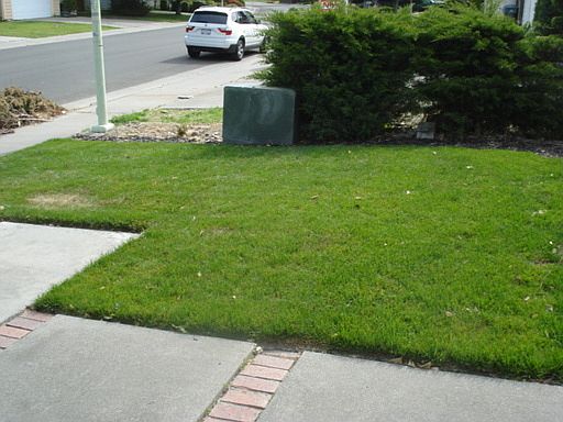 3rd image of 1580 Pebblewood Dr