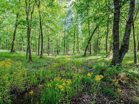 2nd image of Apple Grove Rd #4
