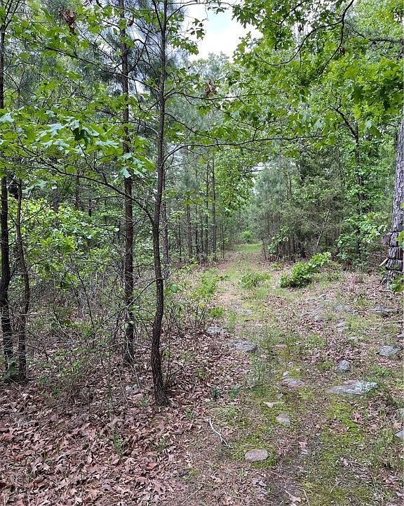 Rural Pushmataha, Moyers, OK 74557 MLS 1065116 Zillow