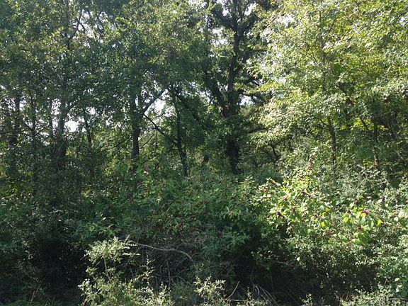 4th image of And 23 Lake Limestone Lot 22