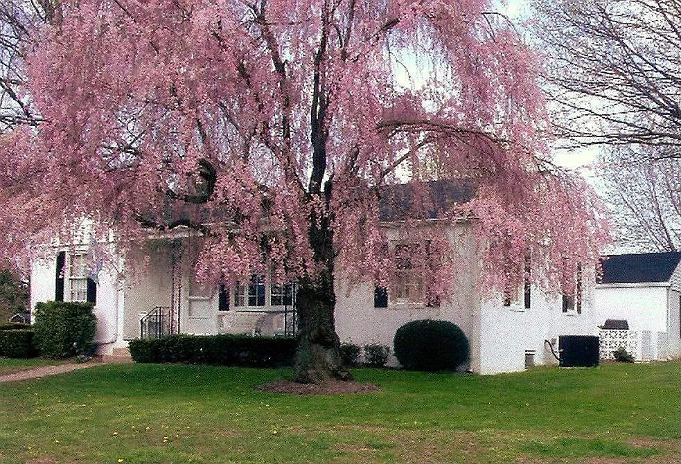 24 Lukens St photo 1