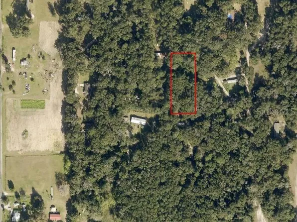 3069 NW 151st Pl, Reddick, FL 32686