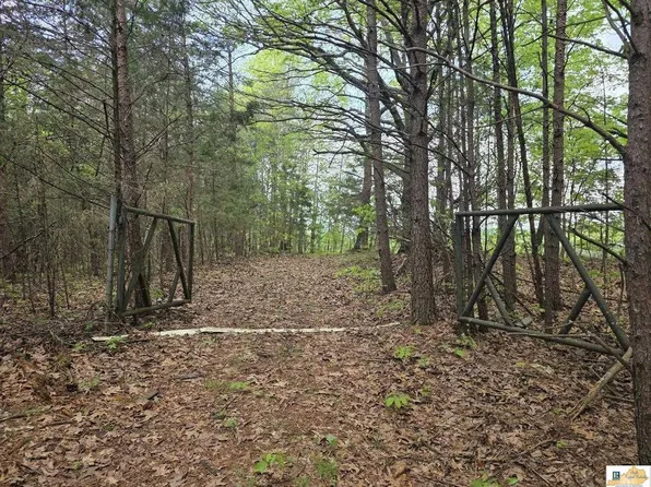 0 Chestnut Grove Rd, Columbia, KY 42728