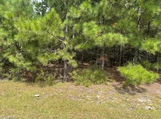 New Tract Belford Church Rd #11, Jackson Springs, NC 27281