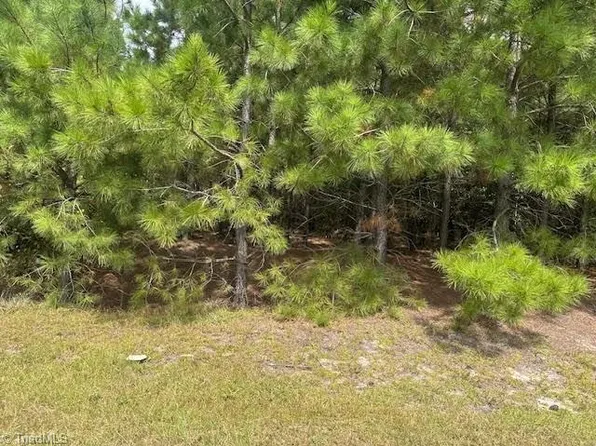 New Tract Belford Church Rd #11, Jackson Springs, NC 27281