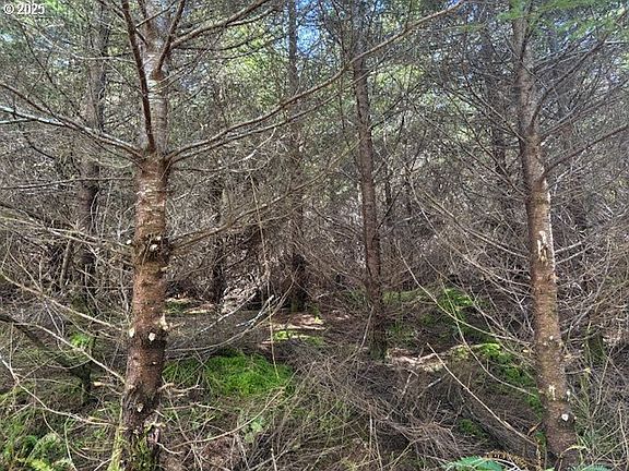 4th image of 0 Steer Creek Rd
